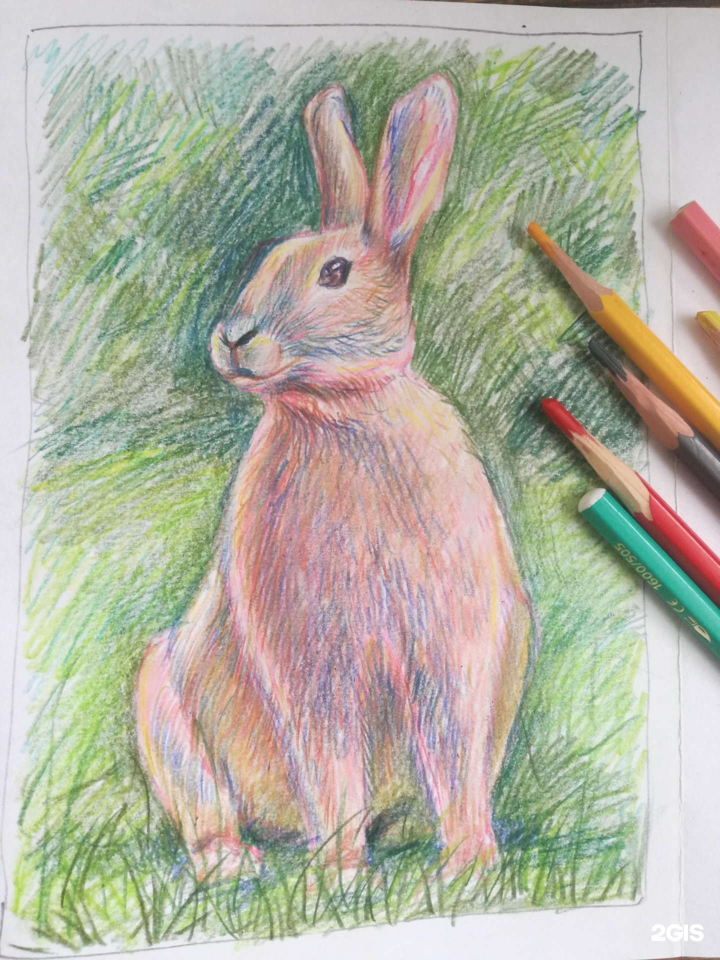 Кролик рисунок карандашом цветной