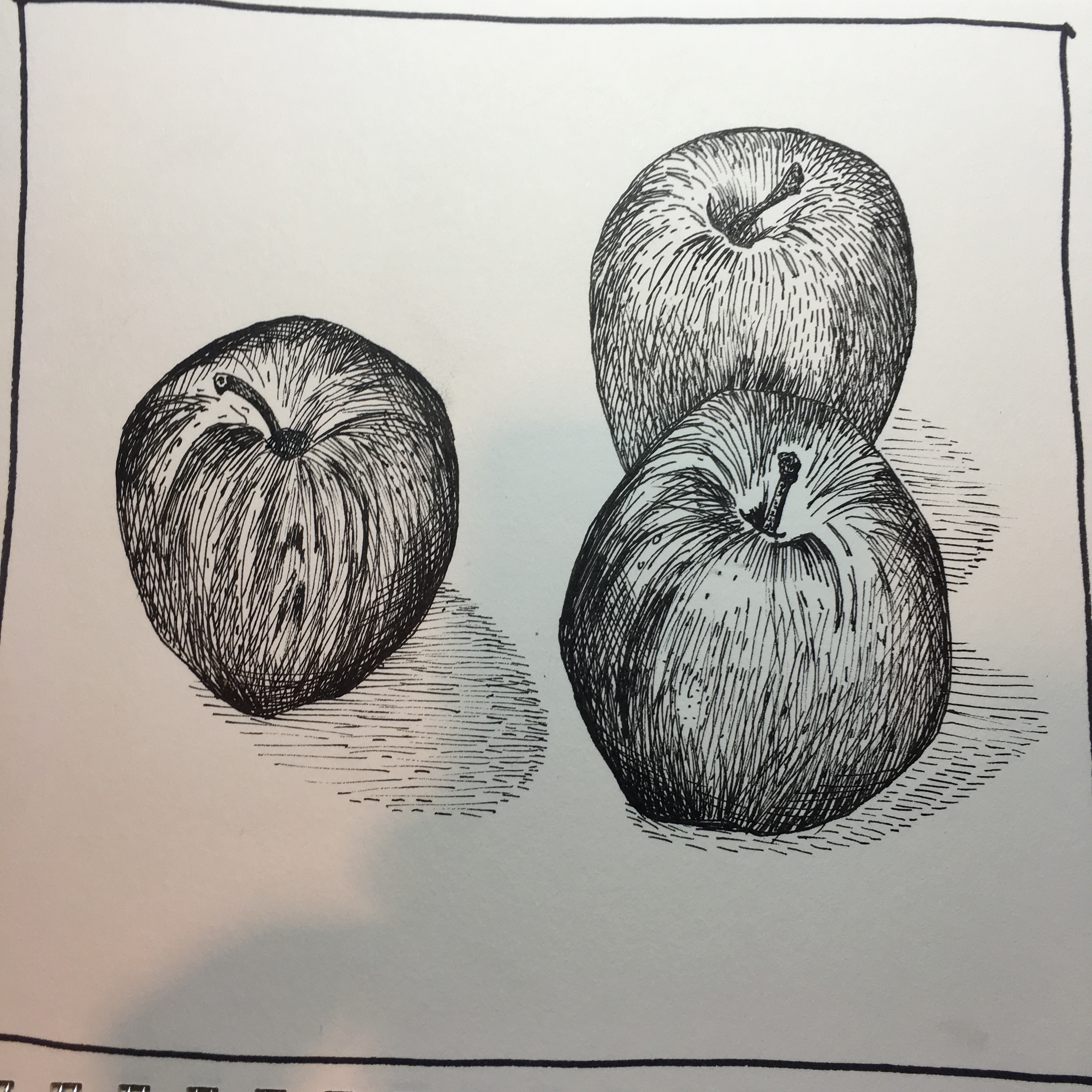 Рисунок карандашом яблоко на альбоме