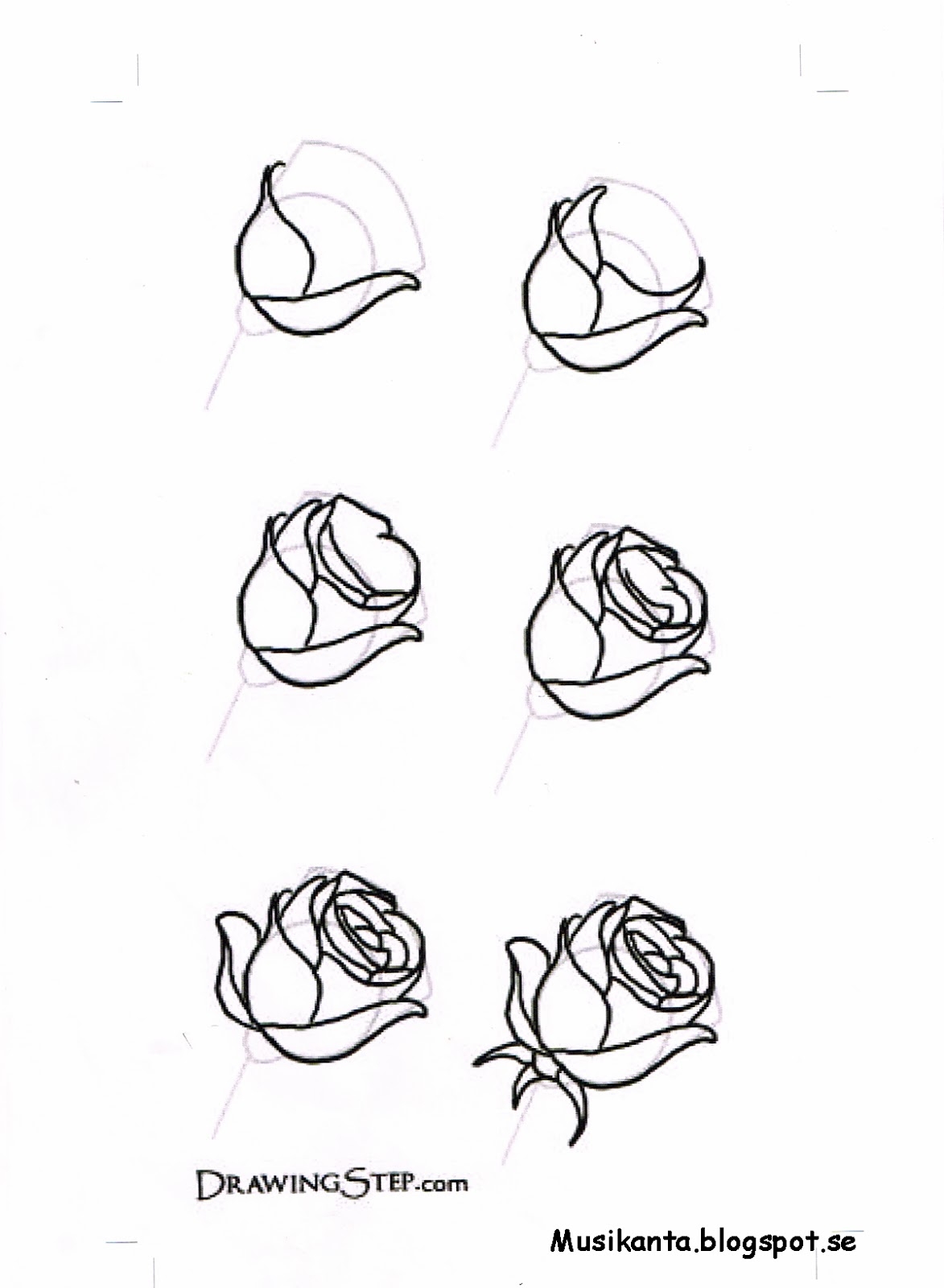 Роза рисунок простой карандашом для начинающих