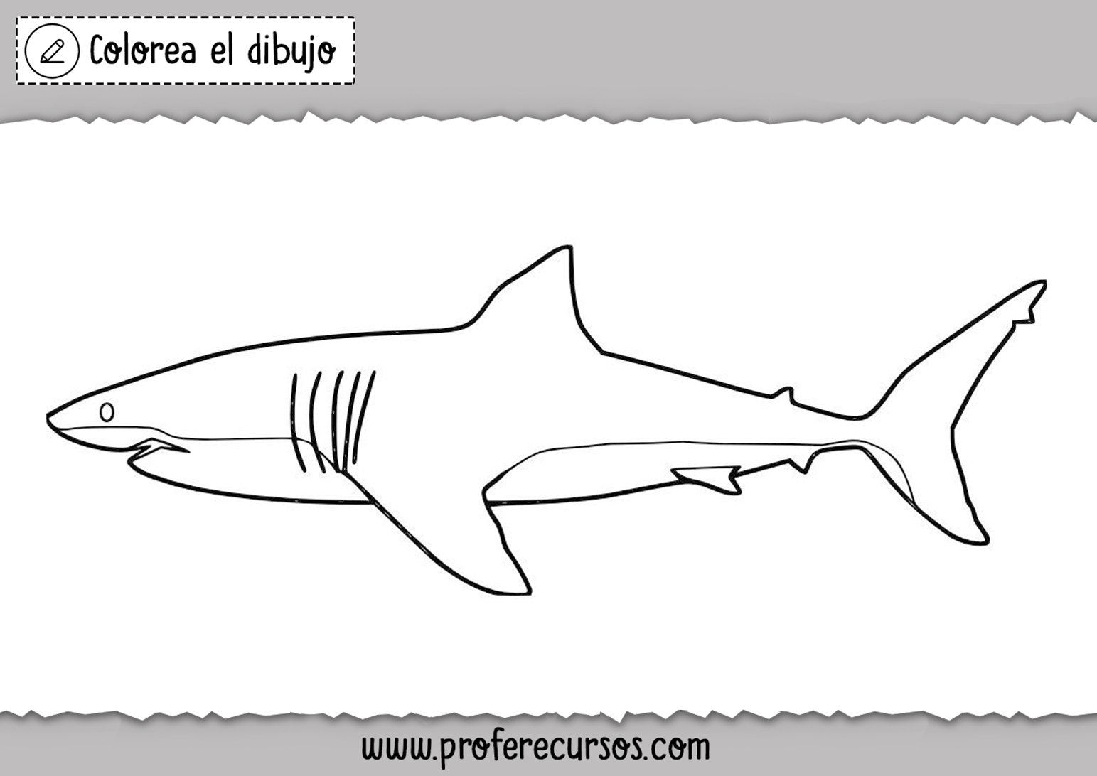 Раскраска маленькая акула