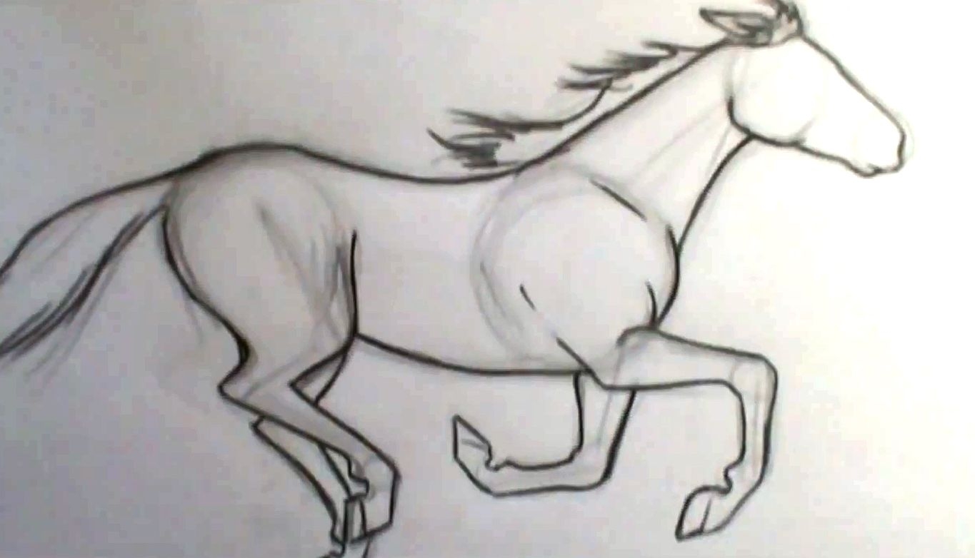 Рисунок лошади 7 класс