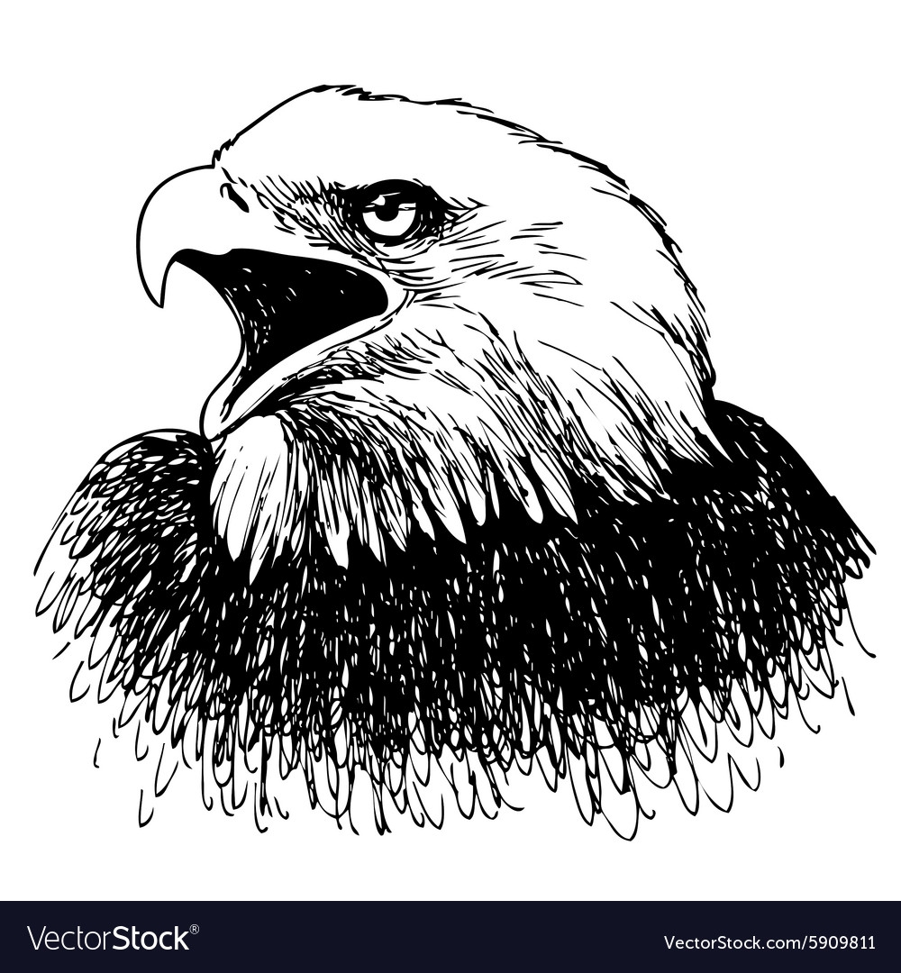 Орел черно белый рисунок