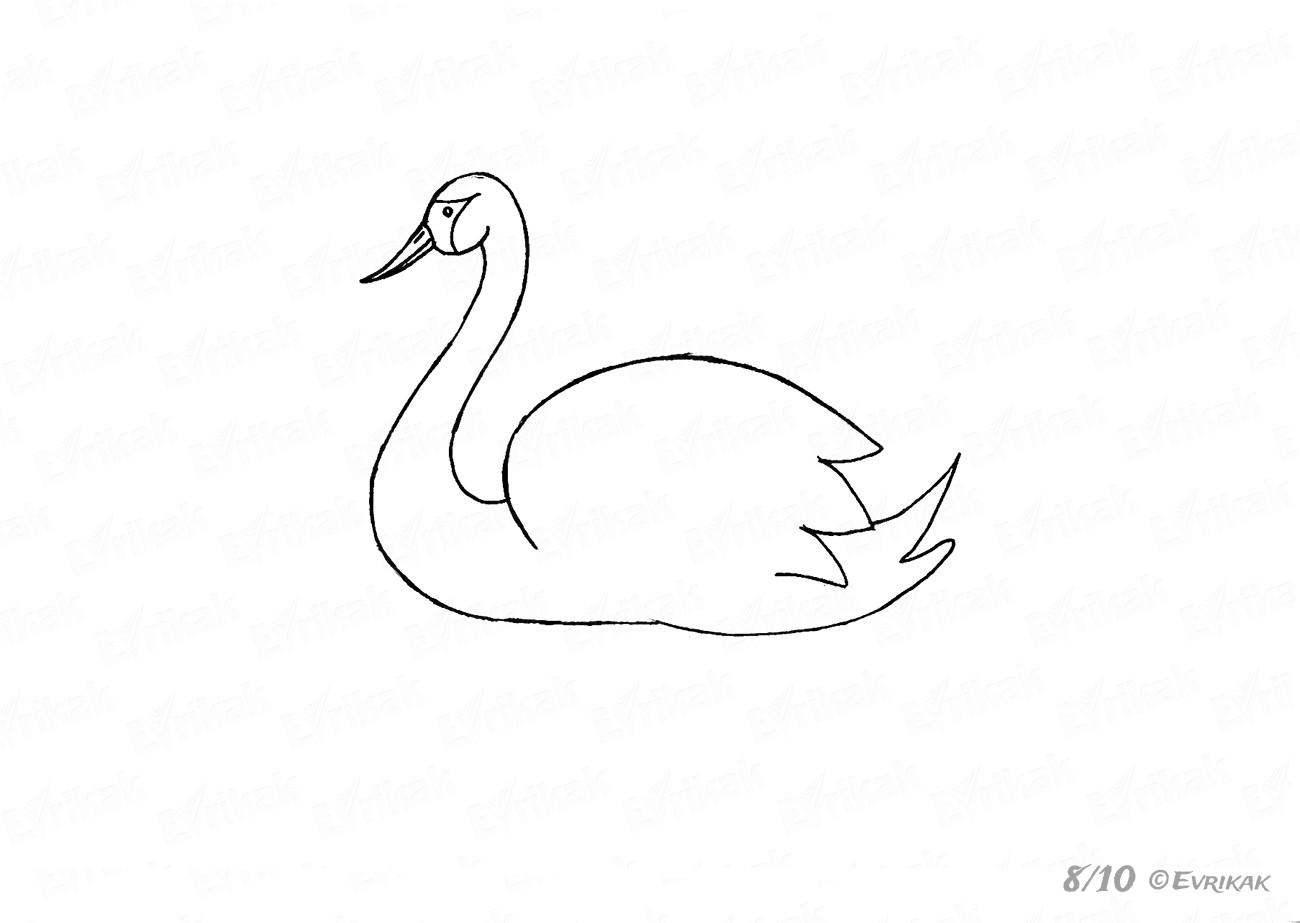 Рисунок лебедя карандашом для начинающих