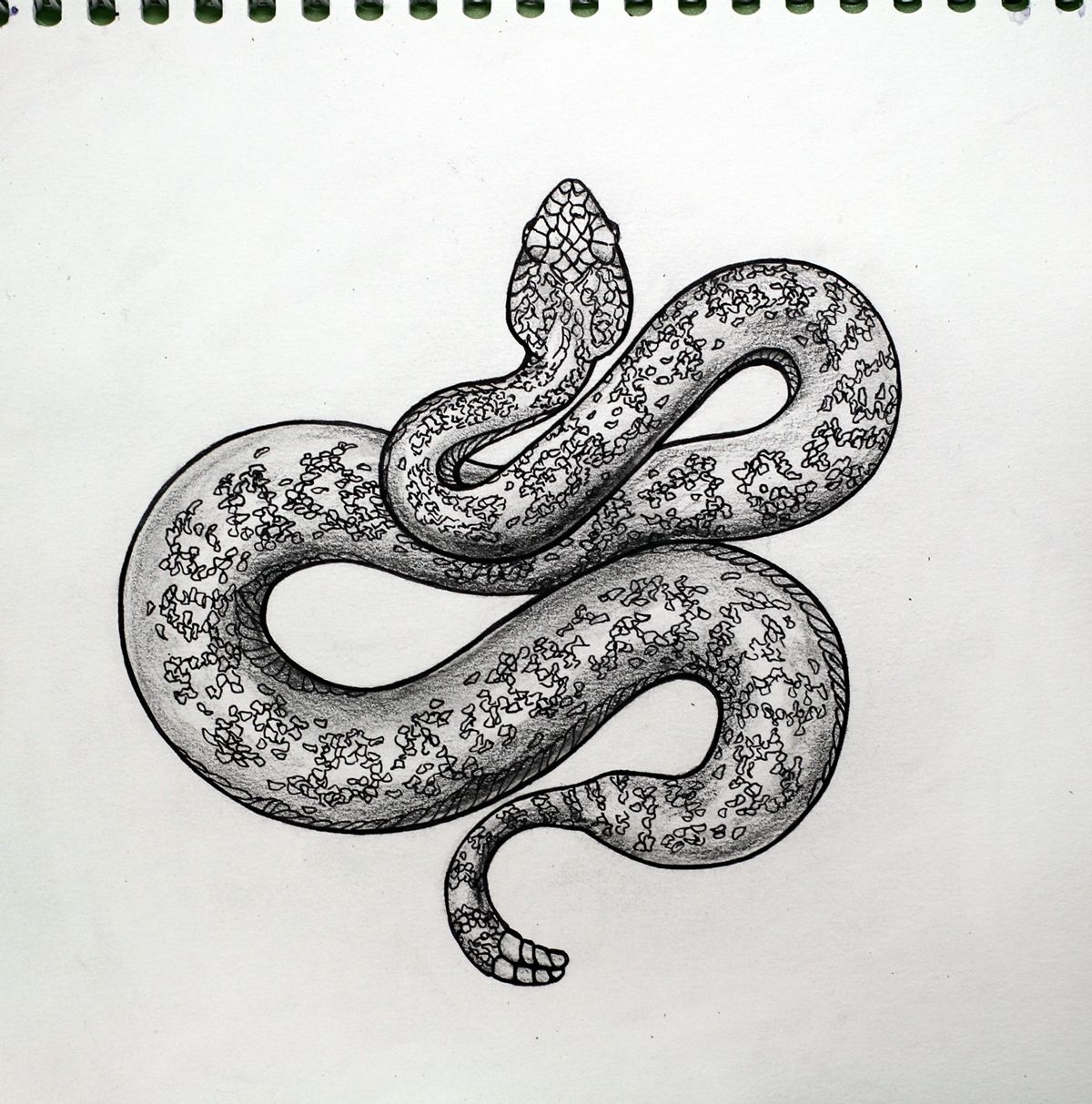 Змея чёрной ручкой