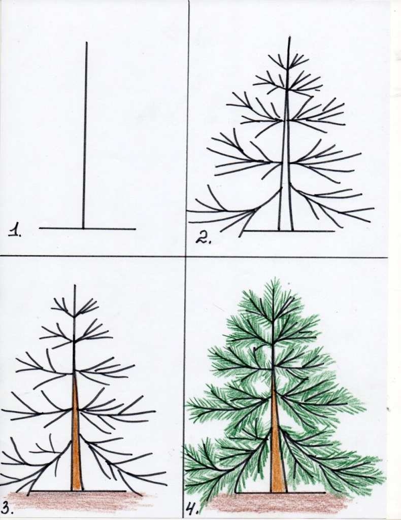 Рисунок елки для срисовки (50 картинок)
