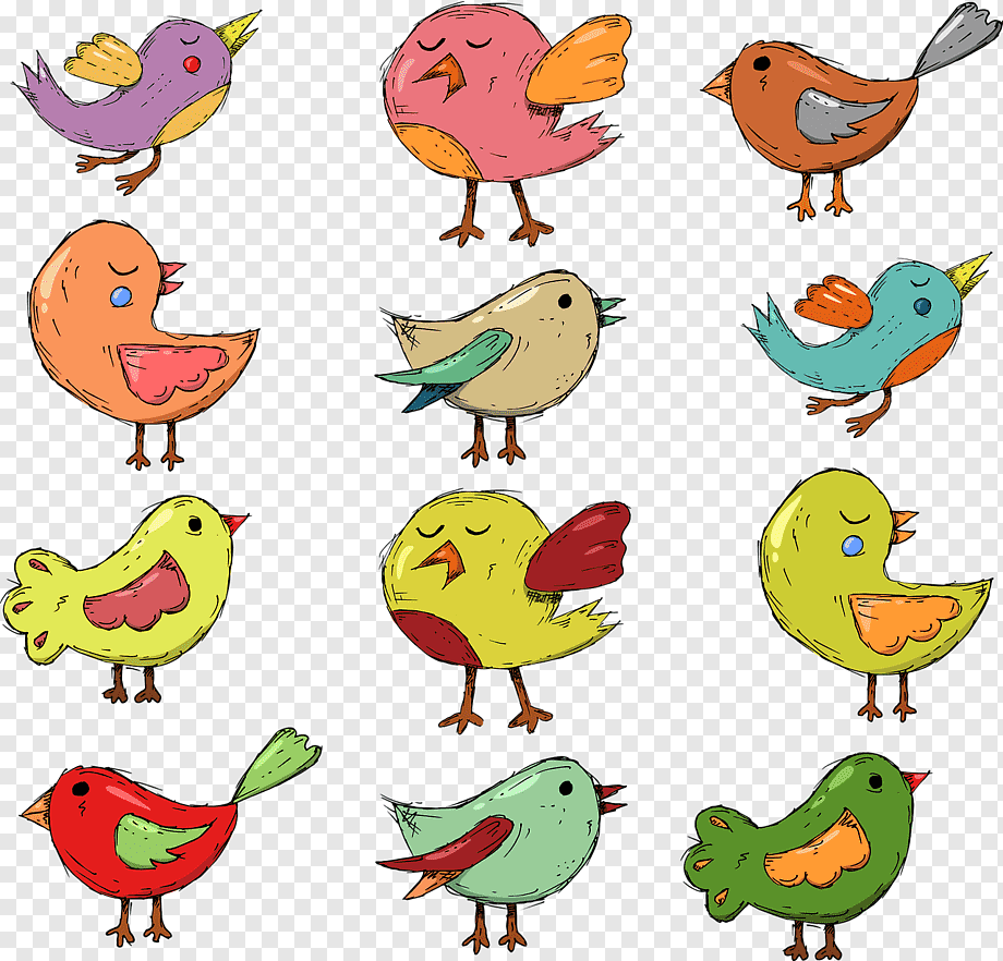 Птицы раскраска (57 фото)