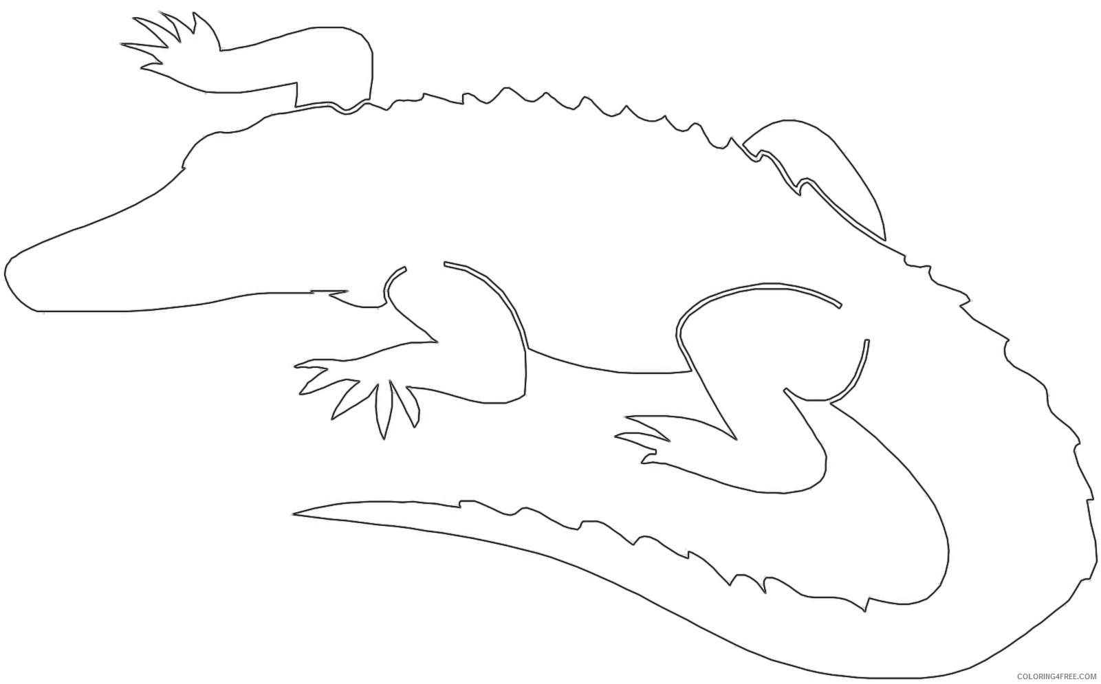 Alligator контур