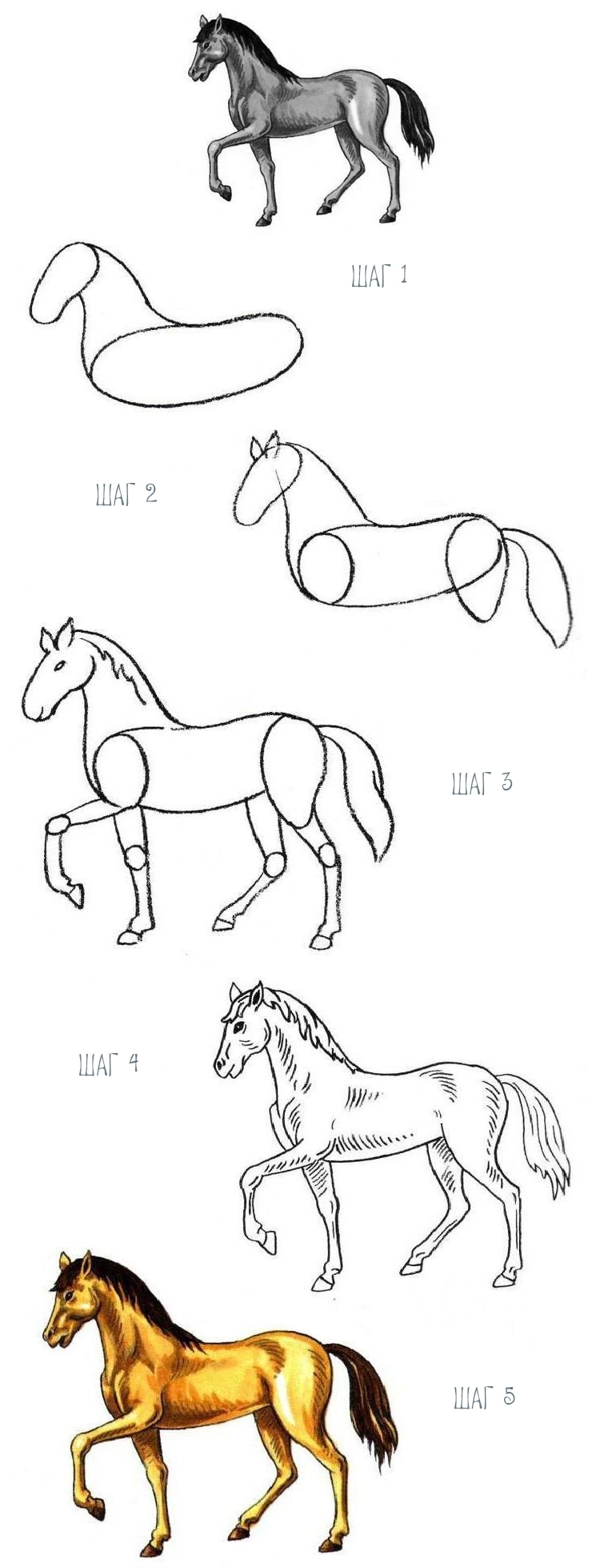 Лошадь как нарисовать для детей 7 лет