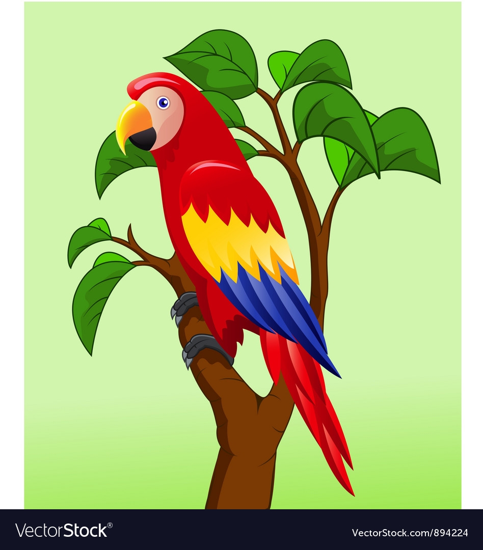 Изображение попугая для детей