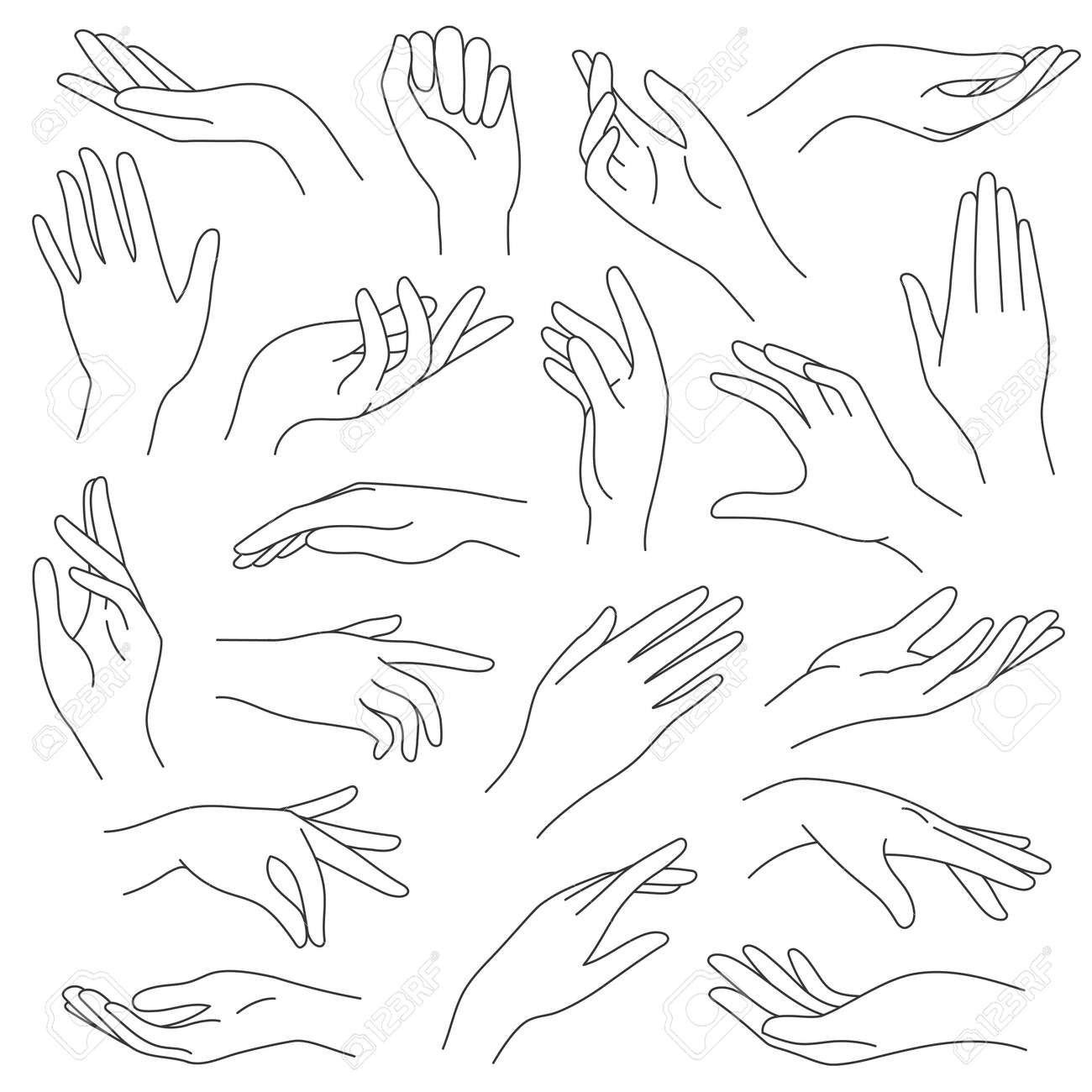 Женские руки стилизованные