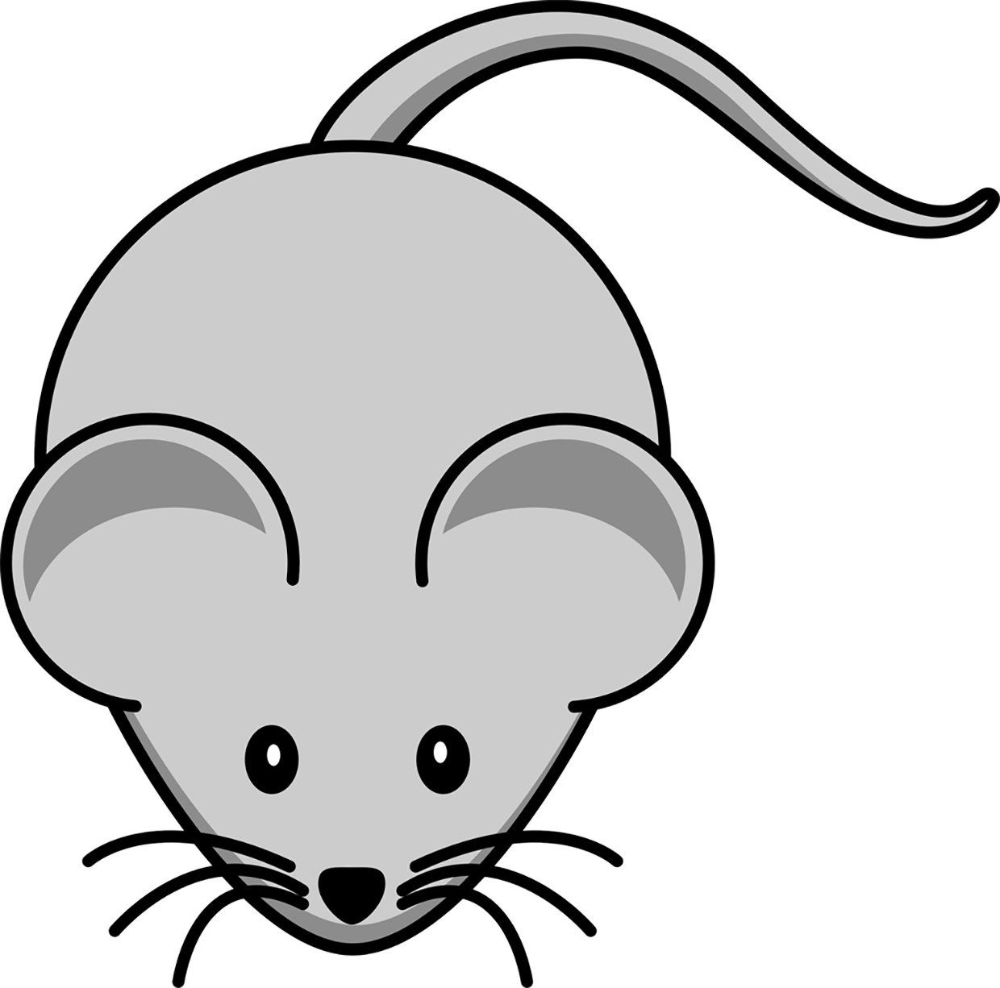 Изображения по запросу Раскраска мышь