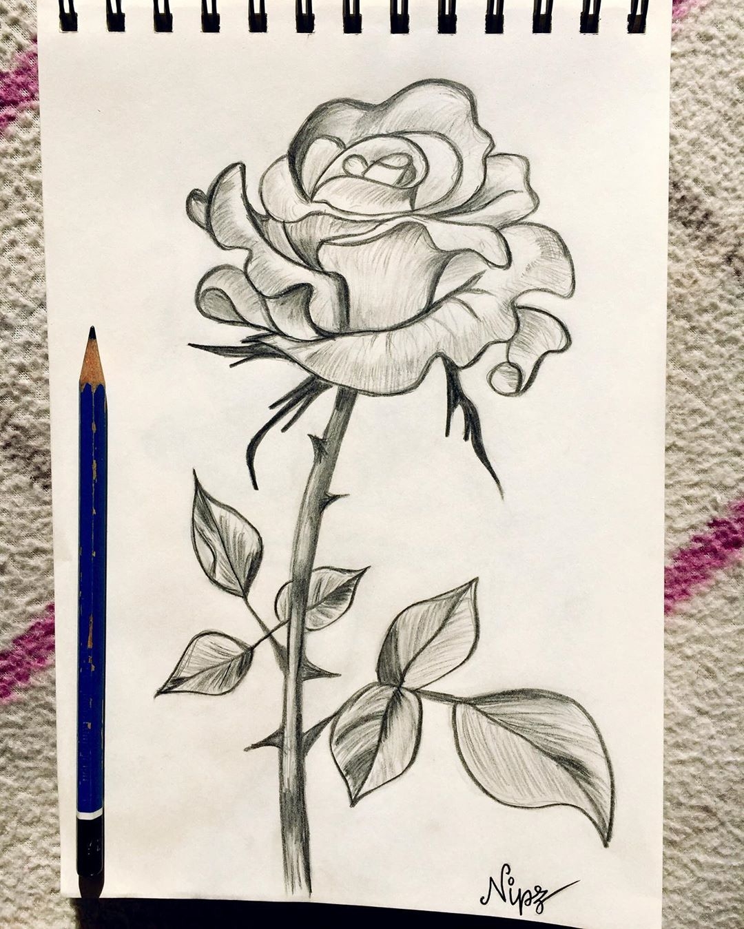 Drawing idea Rose Панама