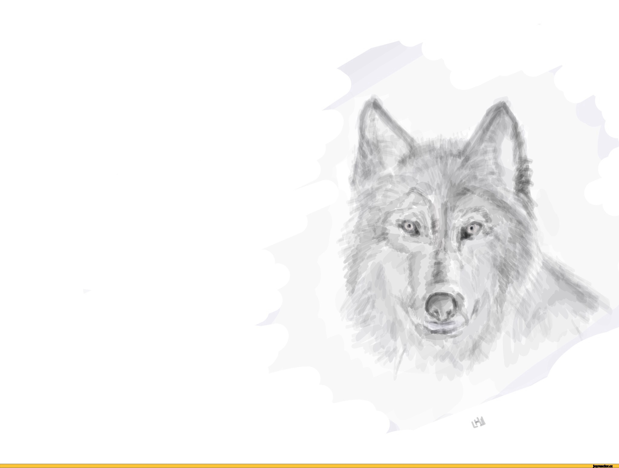 Нарисованный волк на белом фоне