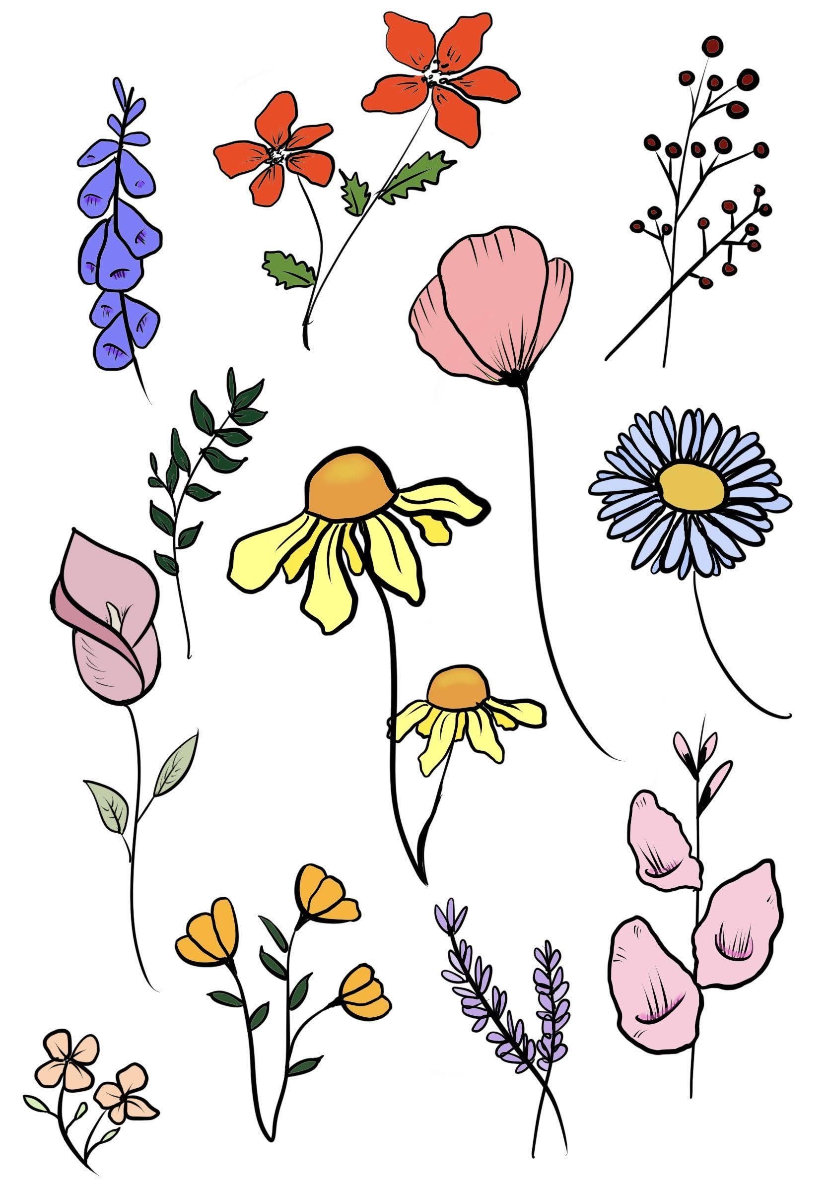 Цветы рисунок карандашом для детей - 60 фото