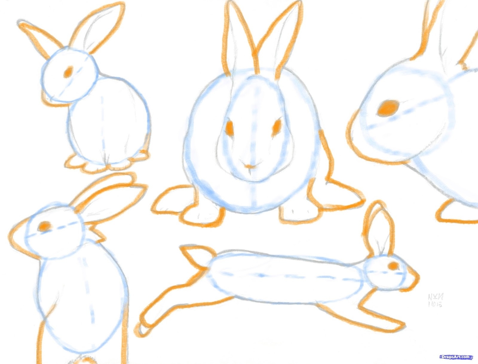 Рисуем полярного зайца поэтапно для детей