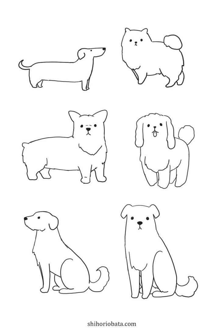 Наброски собак рисовать