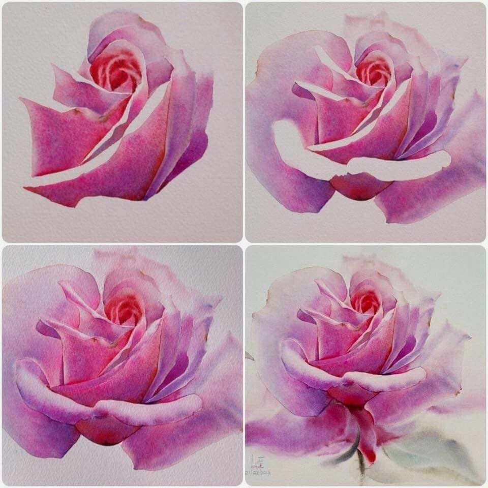 Рисовать маслом поэтапно. Цветы красками. Цветы акварелью для начинающих. Рисование розы акварелью. Рисование акварелью для начинающих розы.