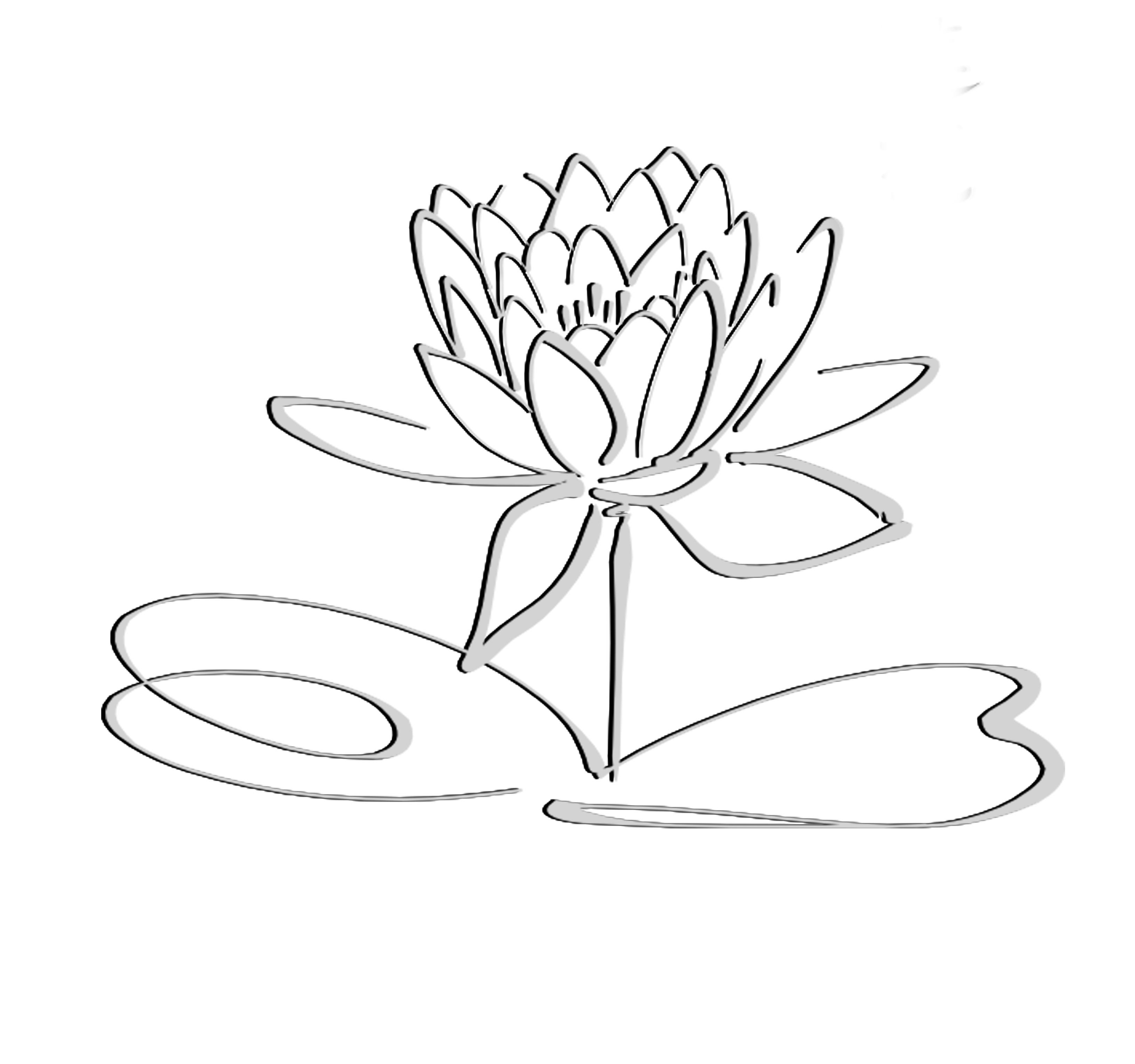 Раскраска Лотос цветок