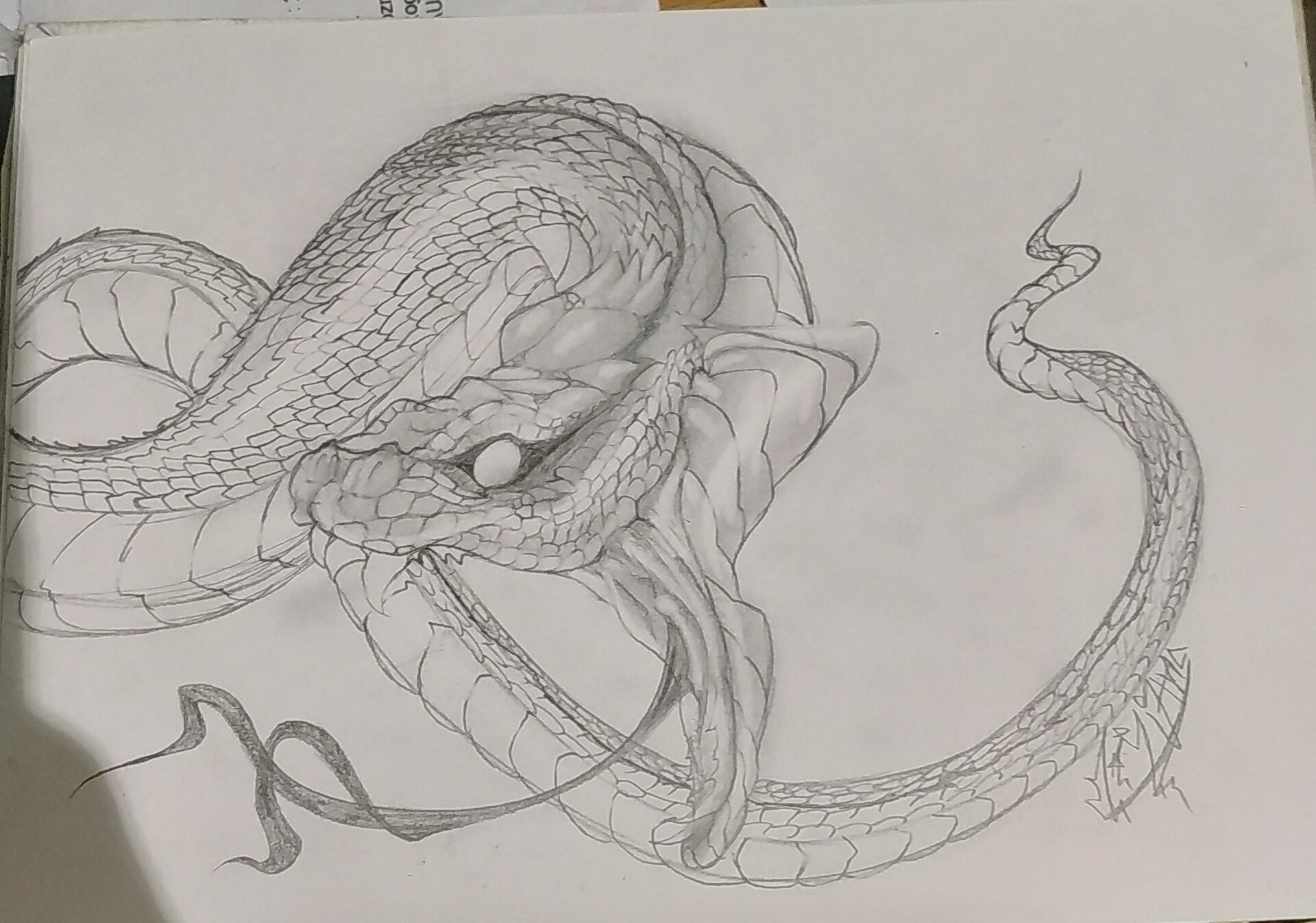 Парень и змея рисунок карандашом