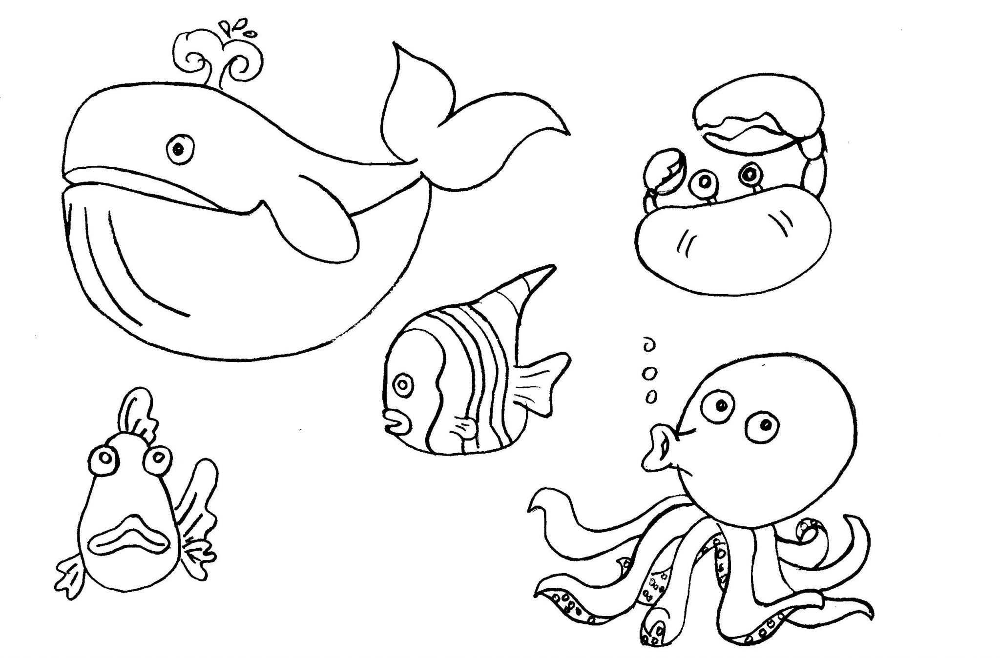 Рисунки морских обитателей карандашом для срисовки