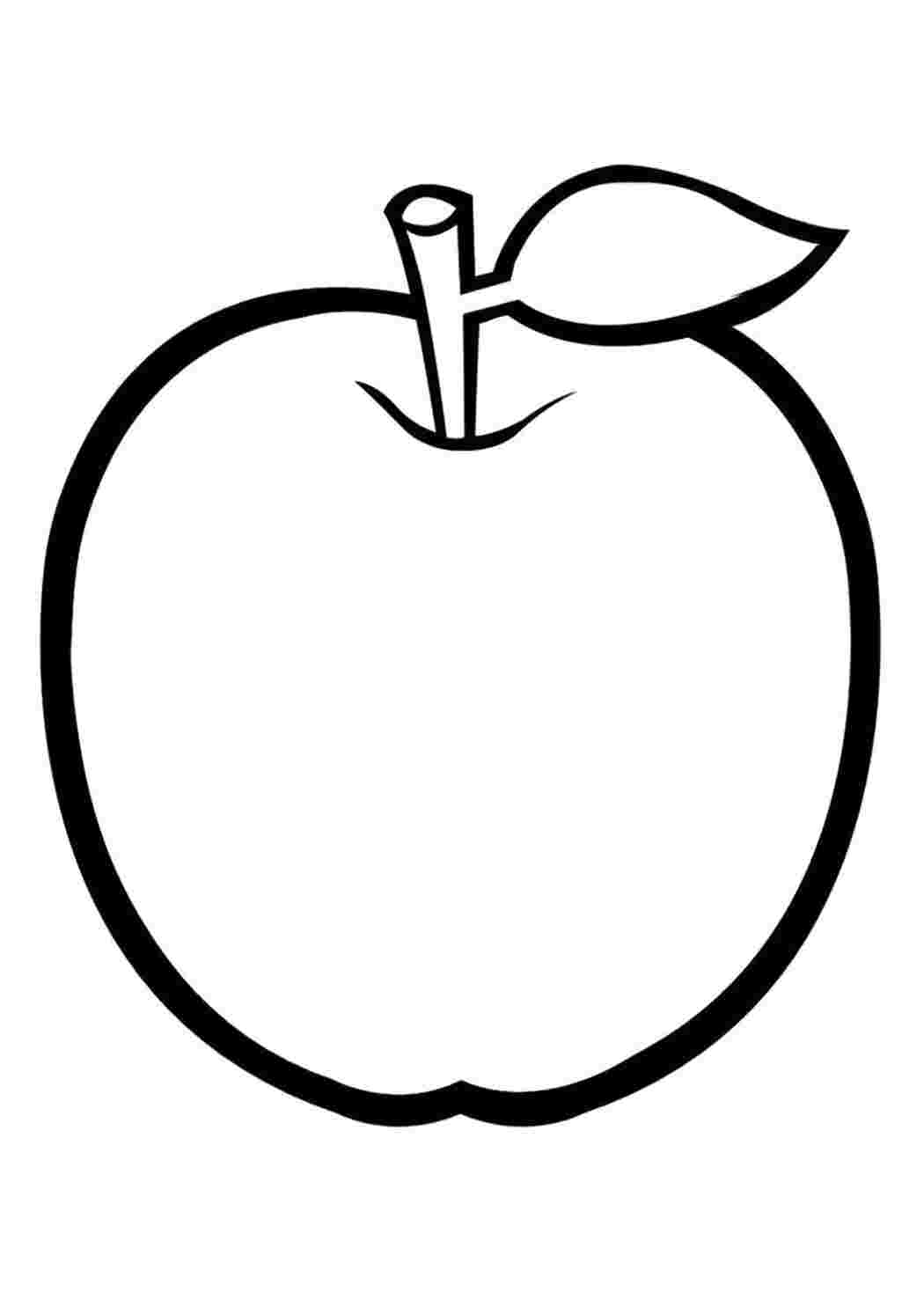 Яблоки на ветке - раскраска №4078