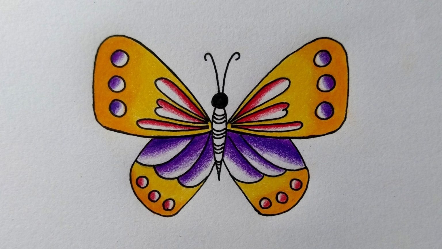 Узоры на крыльях бабочки рисунки