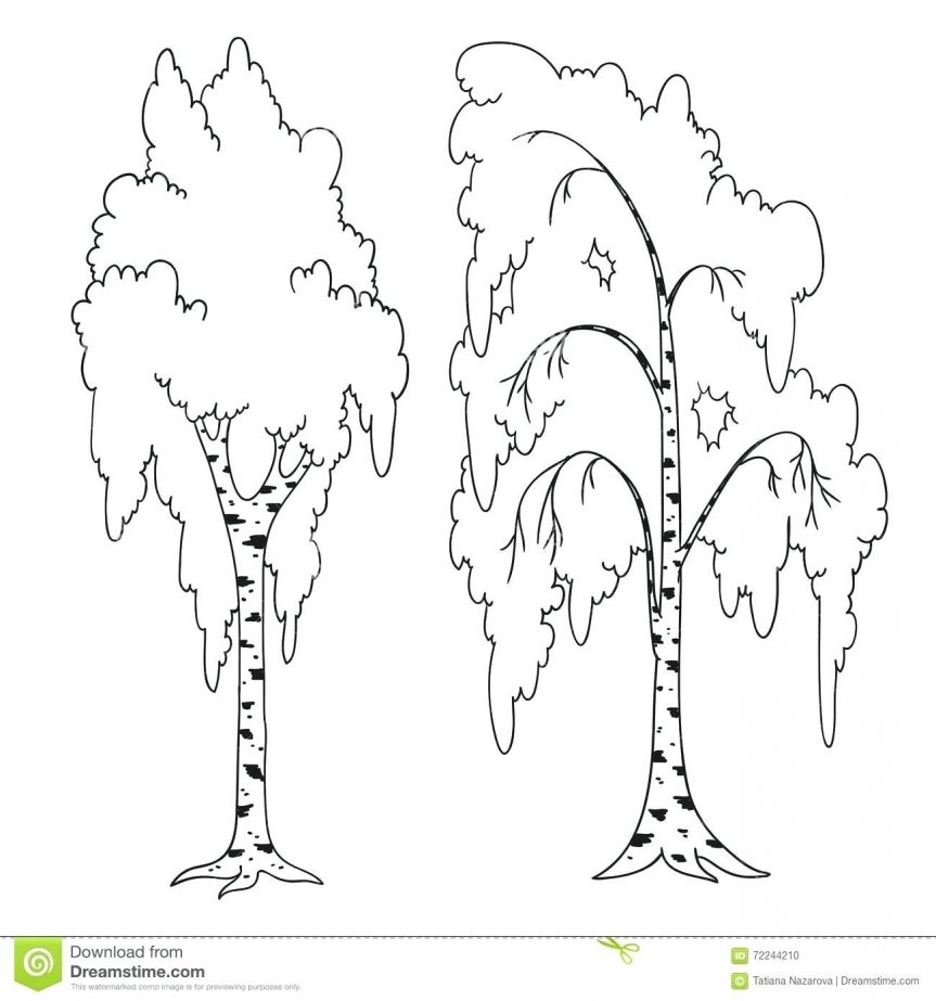 Березка рисунок для детей карандашом