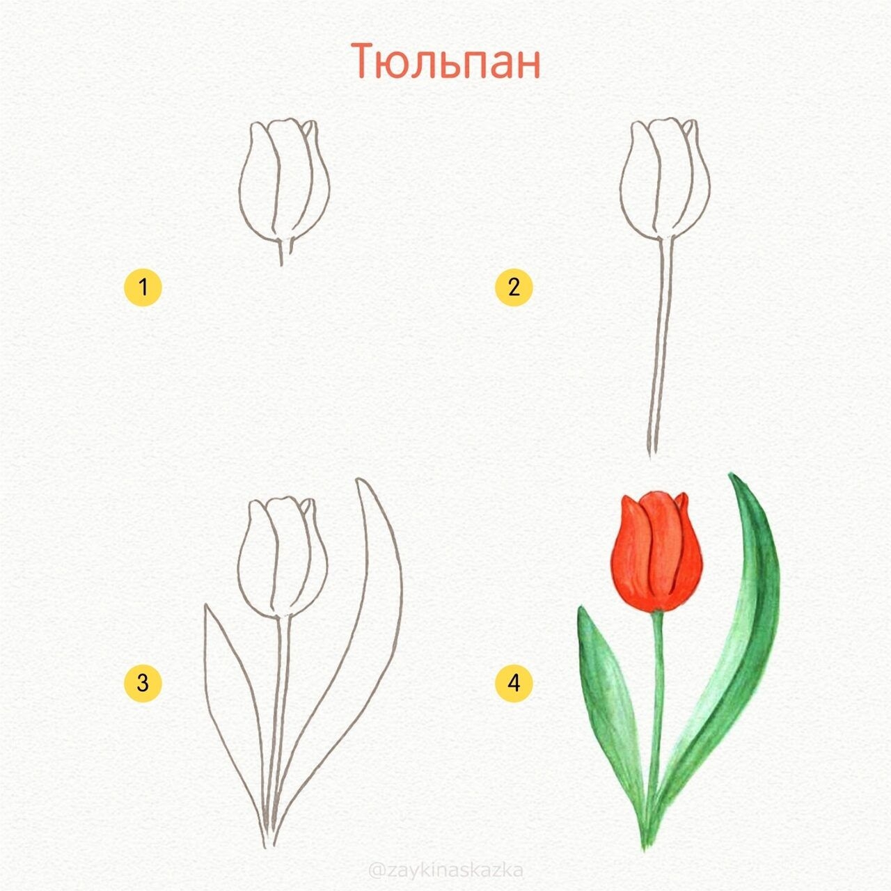 Рисунок тюльпан для детей - 58 фото