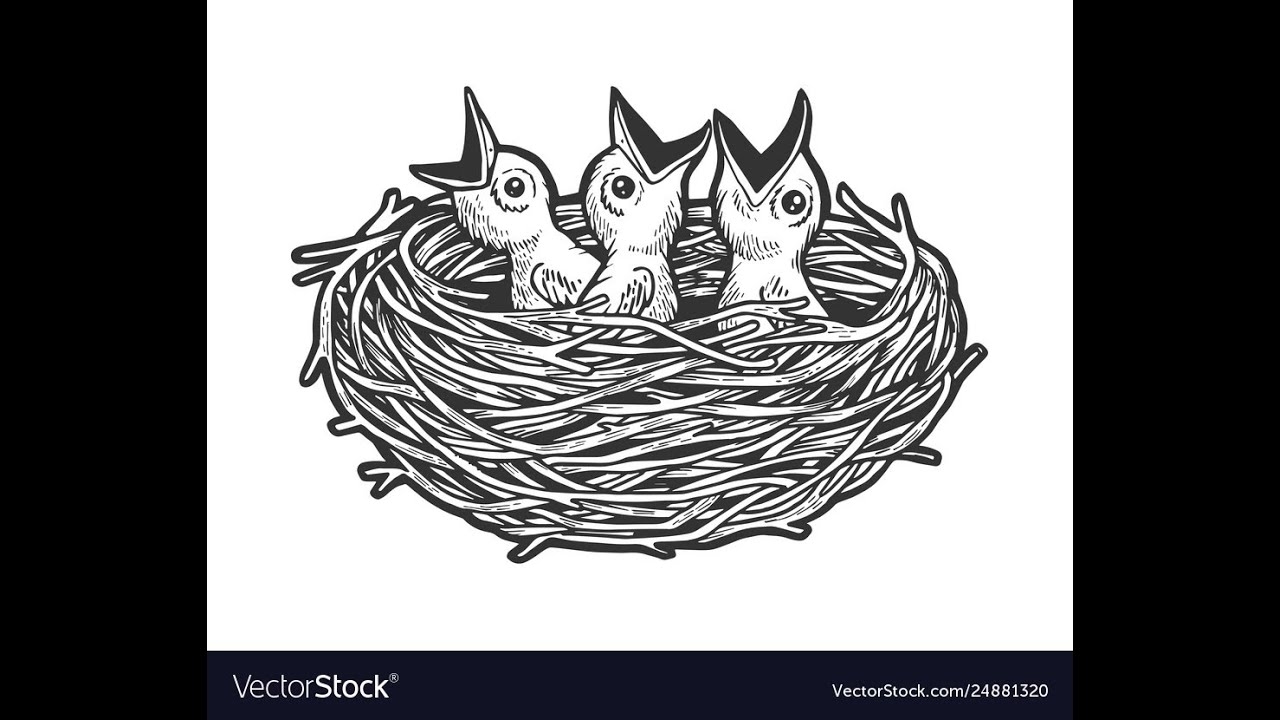 Рисование птенчики в гнезде