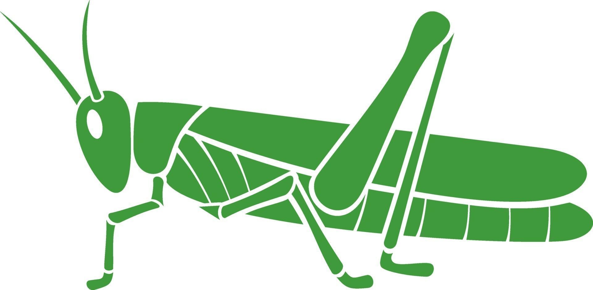 Pallavi Patil cartoon Grasshopper