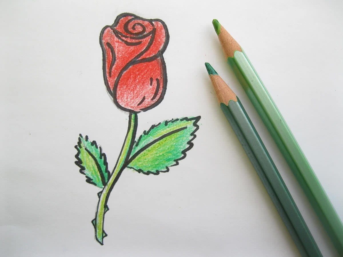 Рисование легкие красивые. Рисунки цветные легкие. Цветы для срисовки цветные. Рисунки цветными карандашами.