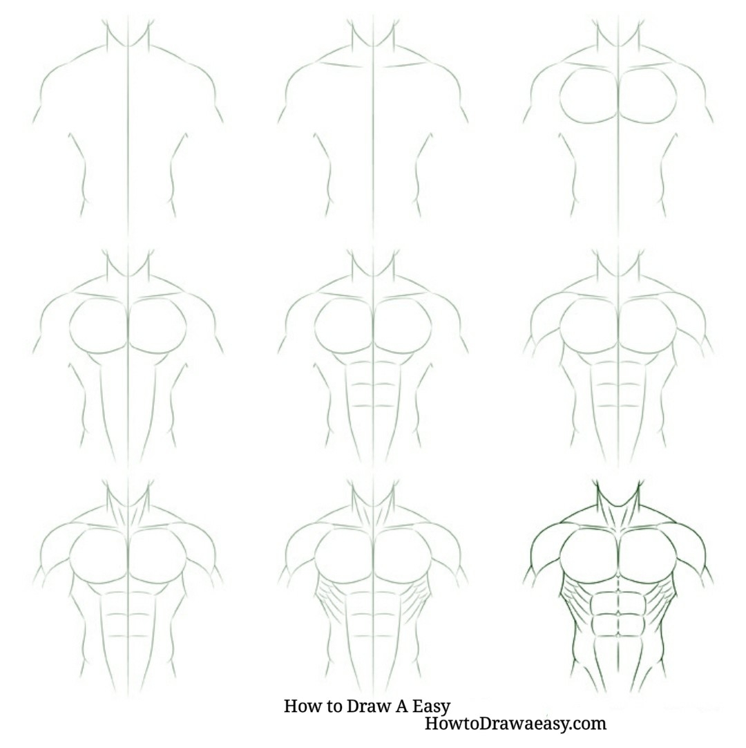 Мужские для начинающих. Поэтапное рисование пресса мужского. Поэтапное рисование мужского тела. Поэтапное рисование торса мужчины. Как рисовать мужское тело поэтапно.