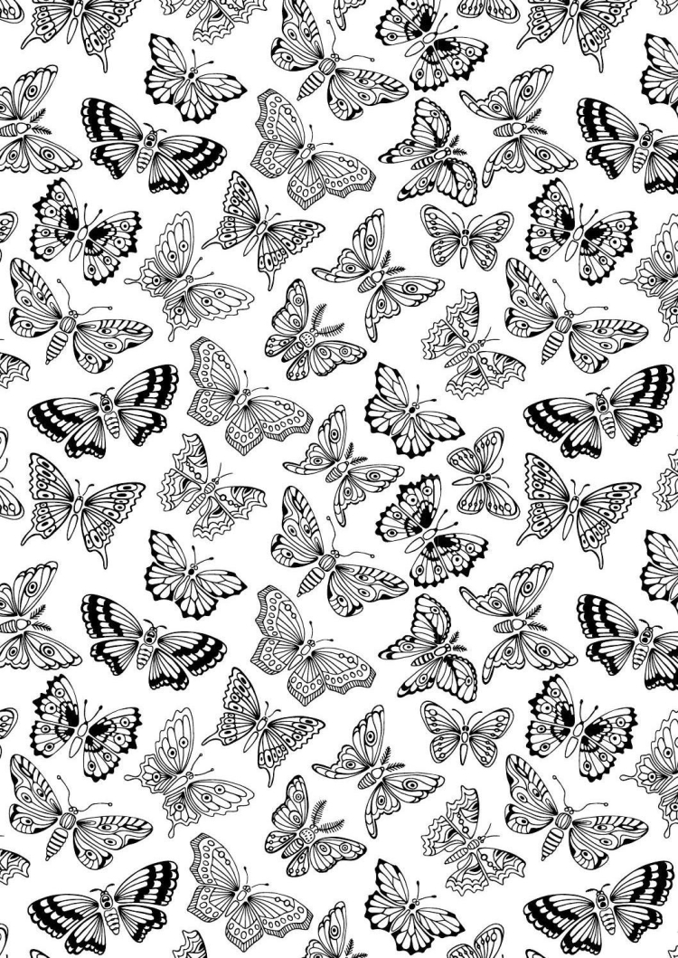 Бабочки несколько на листе