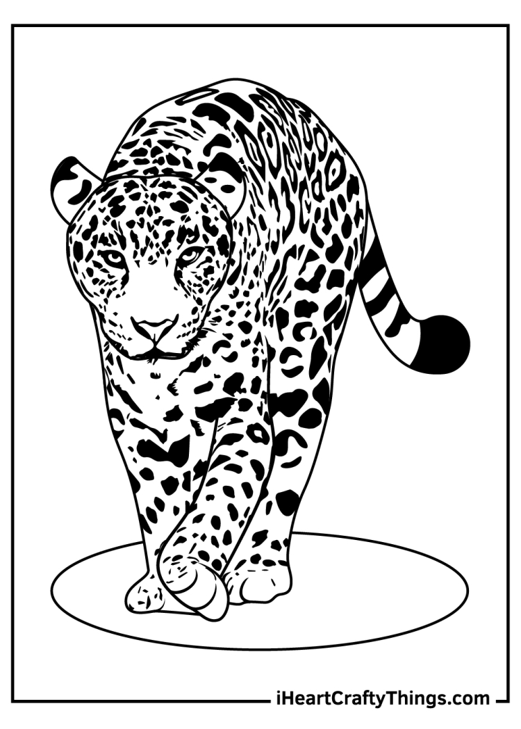 Раскраски для мальчиков леопард