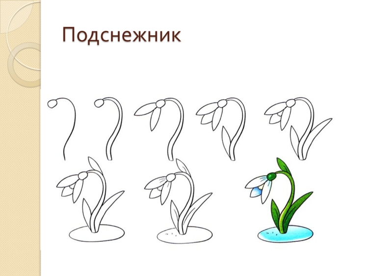 Как нарисовать подснежник ребенку