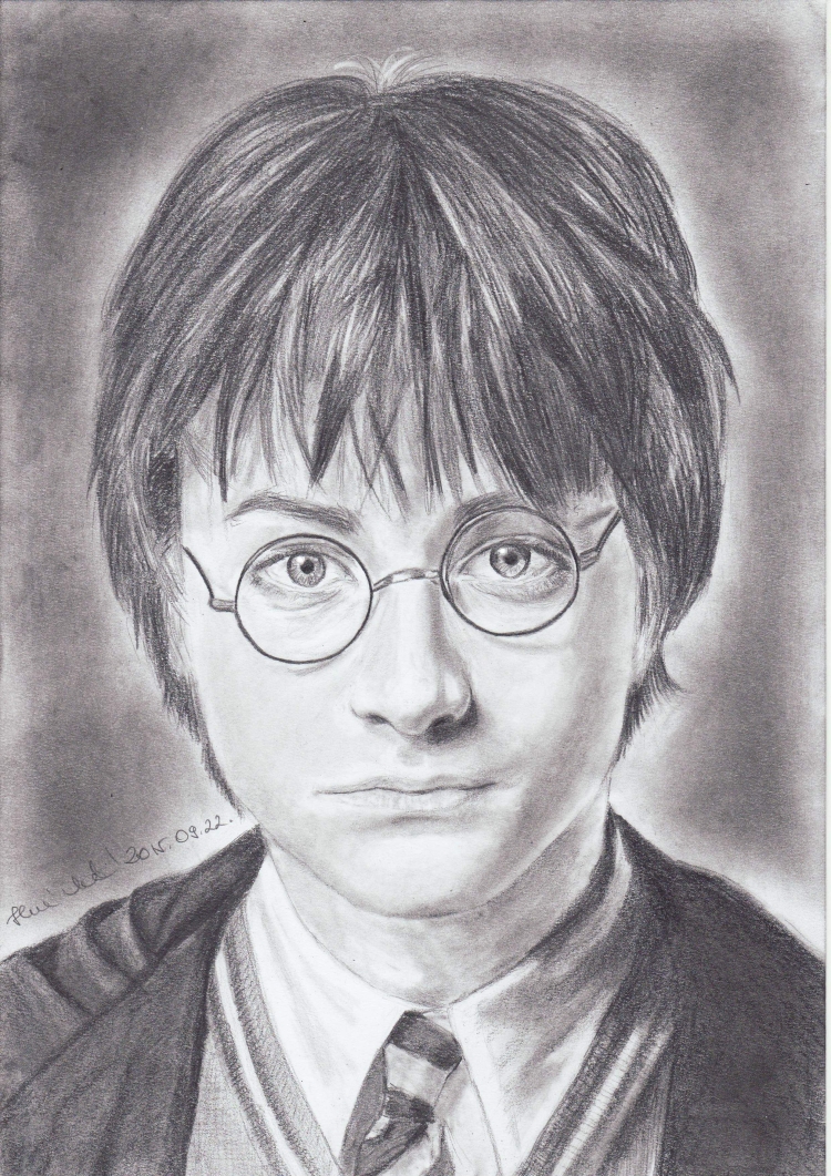 Раскраска спираль портрет Гарри