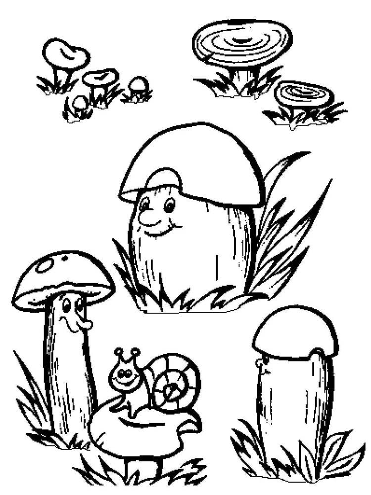 Раскраска грибы в лесу