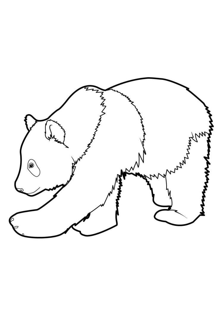 Большая Панда раскраска