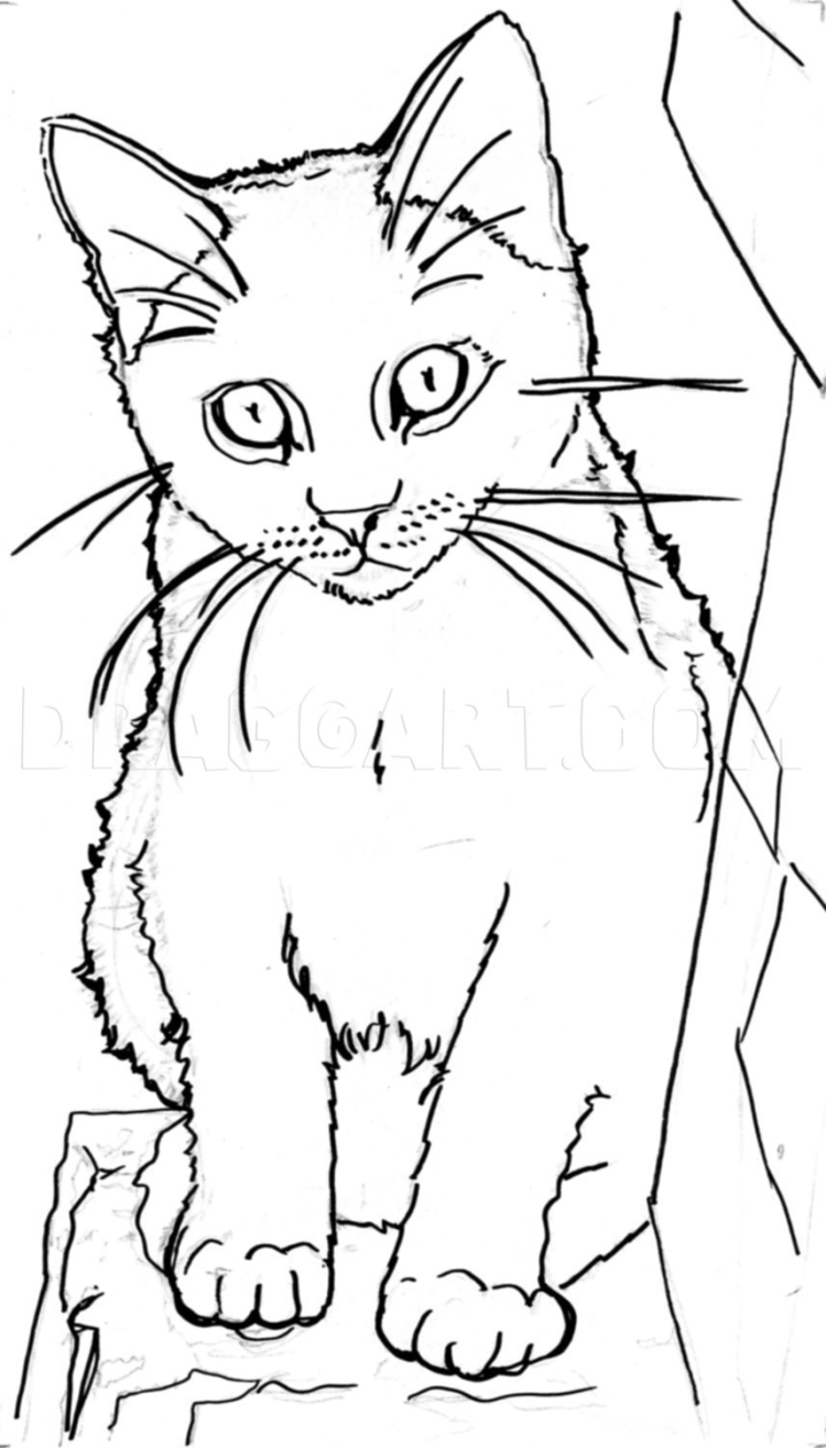Легкий рисунок кота Баюна