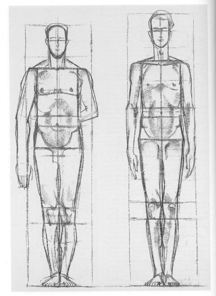 Как построить фигуру человека академический рисунок