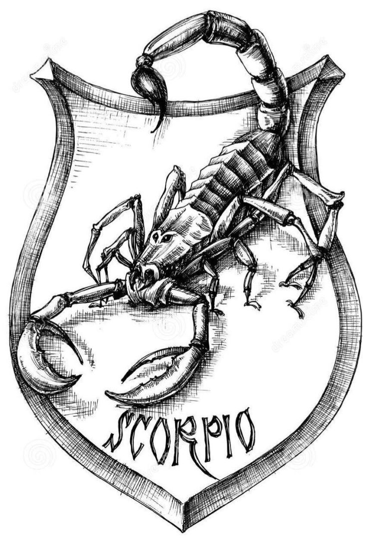 черно белые эскизы для тату скорпион