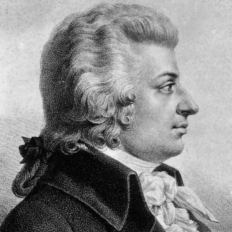 Mozart. Вольфганг Моцарт. Амадей Моцарт. Вольфганг Амадей Моцарт черно белое. Моцарт портрет.