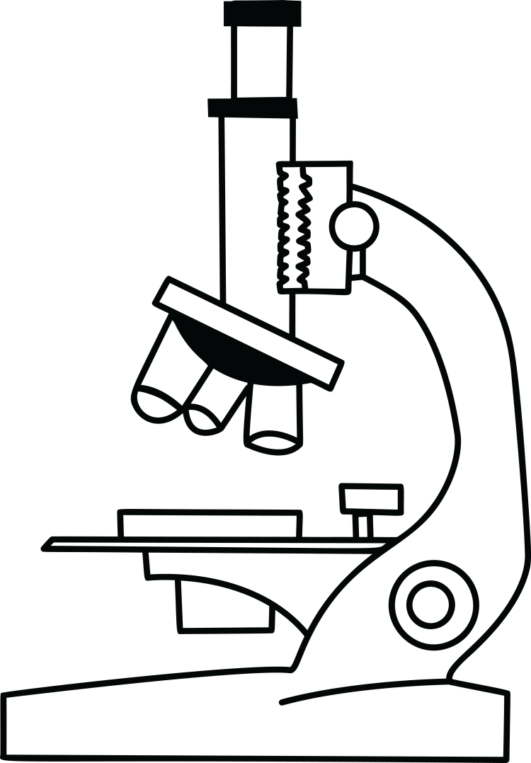 Рисунок микроскопа