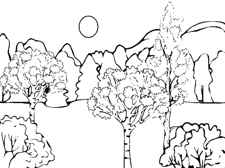 Описание товара Раскраска по номерам Schipper Триптих Осенний лес 9260688