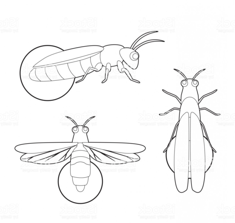 Как нарисовать легко светлячка