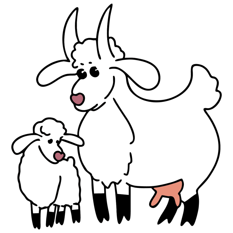 Раскраска - Овечки и козы