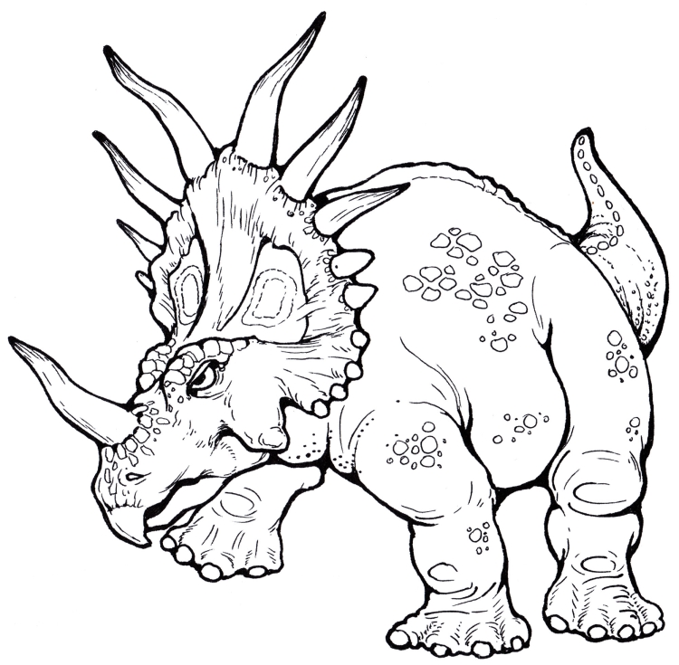 Раскраска динозавр трицератопс для детей распечатать бесплатно