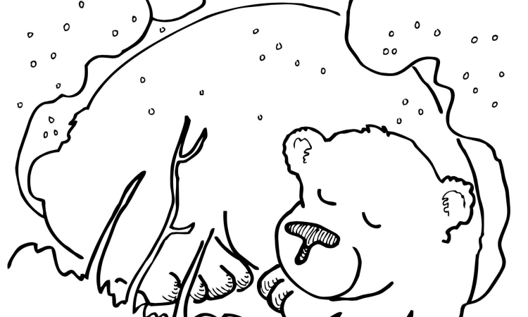 Раскраска медведь в берлоге