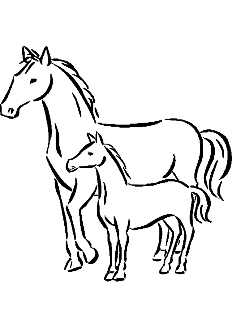 Рисунок маленькой лошадки