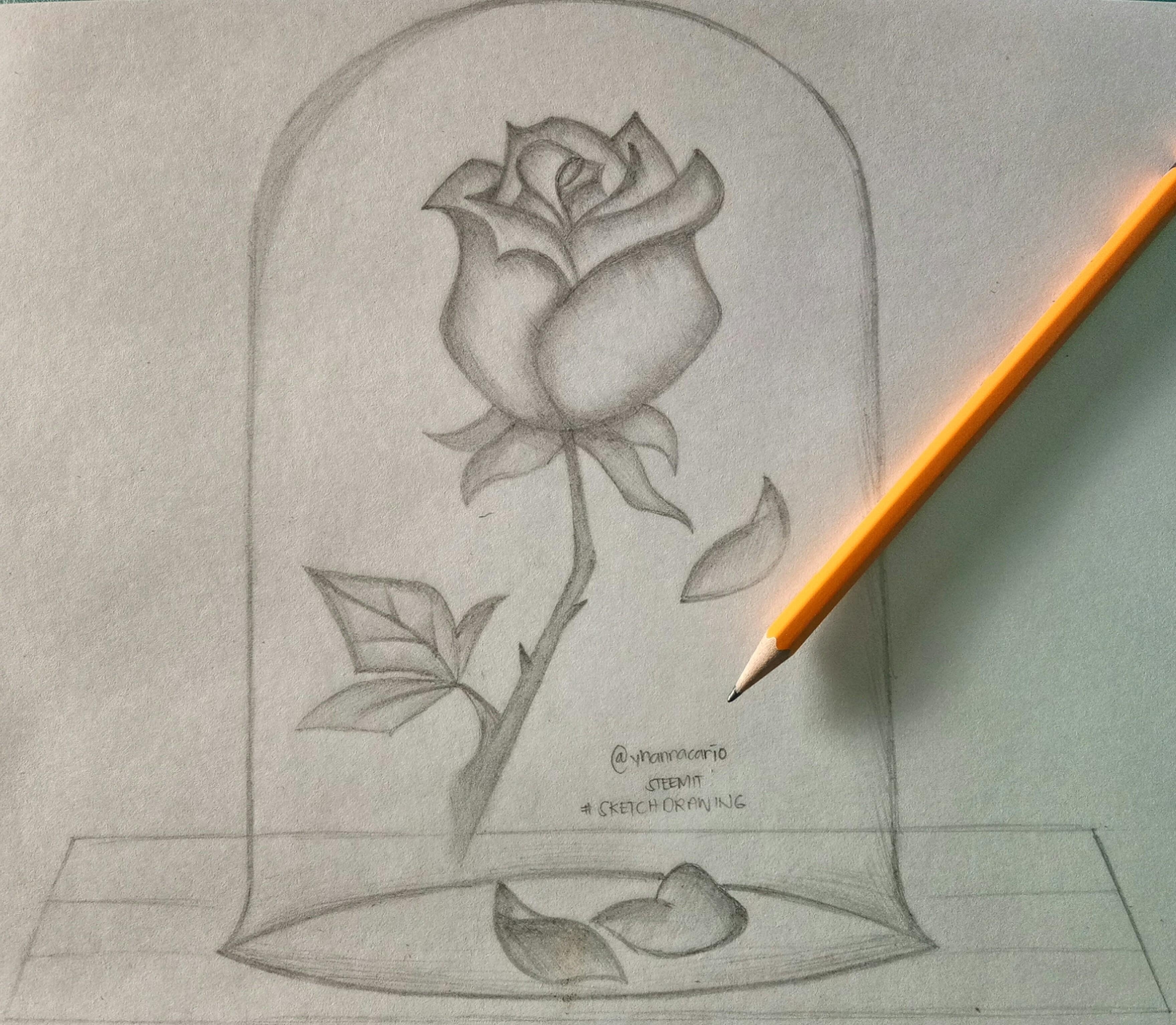 Розы в вазе срисовки простым карандашом простые